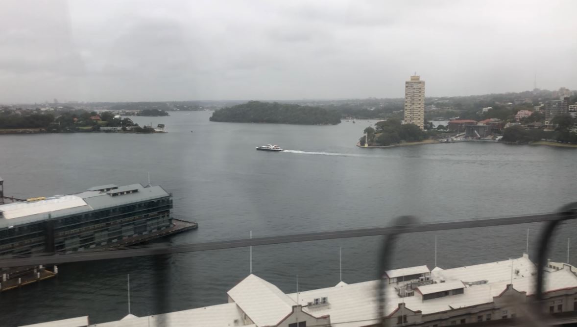 Sydney 'mizzle' set to stick around for a while yet