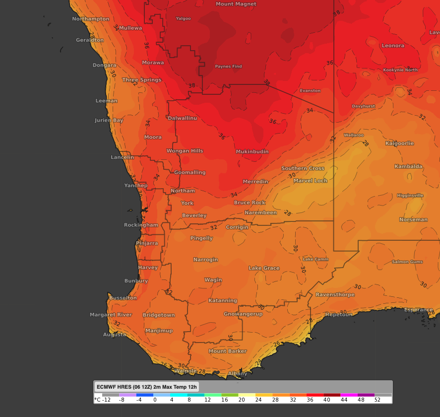 Return of summer for WA