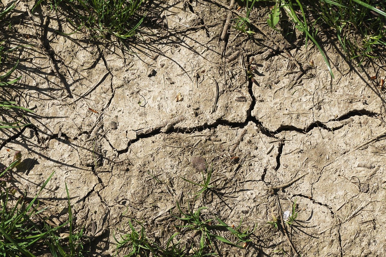 Rockhampton left reeling after La Nina rains fail in Queensland 