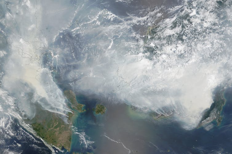 Despite clear skies during the pandemic, greenhouse gas emissions are still rising