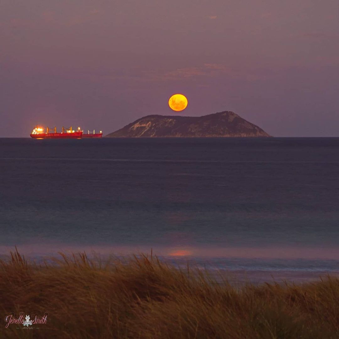 How to see next week's total lunar eclipse