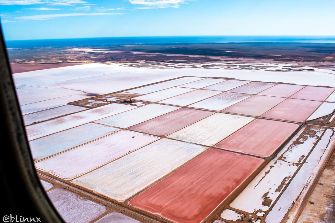 One industry was left feeling salty after rain hit WA this week 