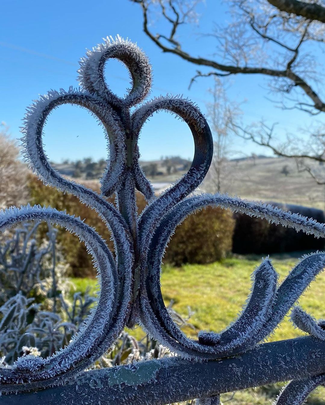 Icy morning in eastern Australia 