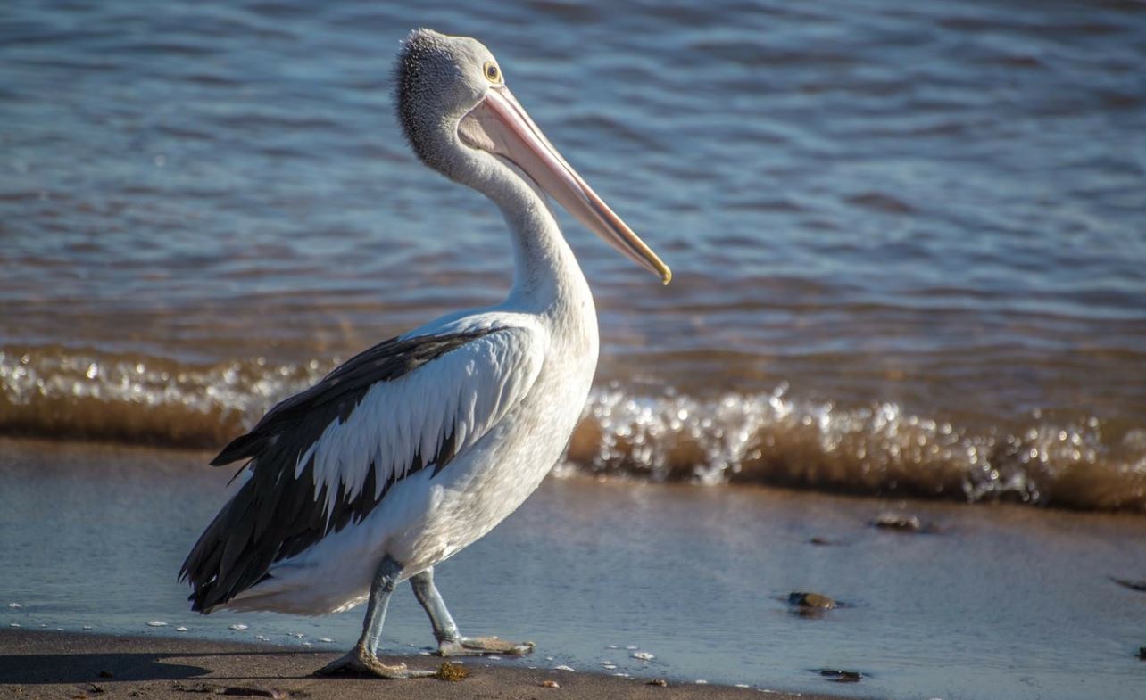 How a cold weather system is making the east coast warm and springlike today