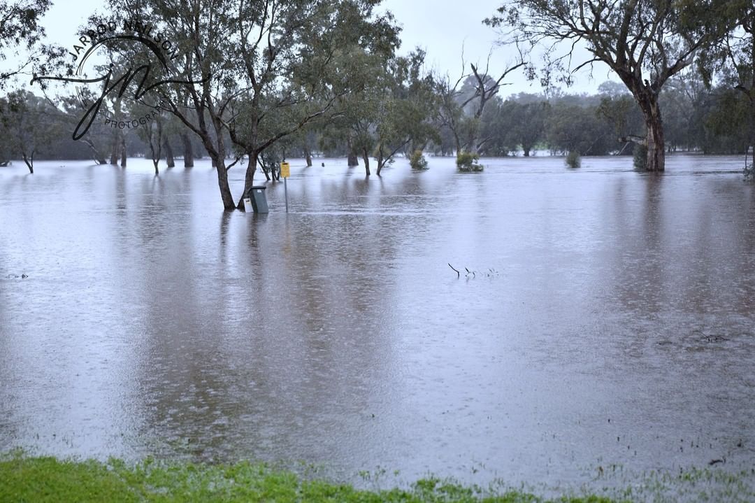 At last, sunshine for Perth after wettest July in quarter of a century