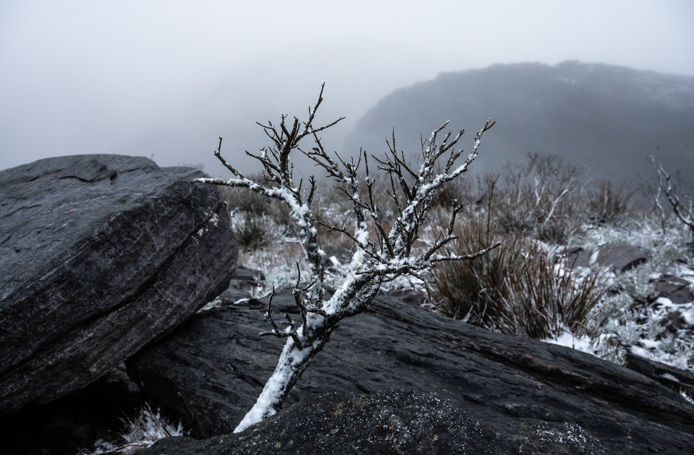 Elated hikers score snow as cold air blasts WA