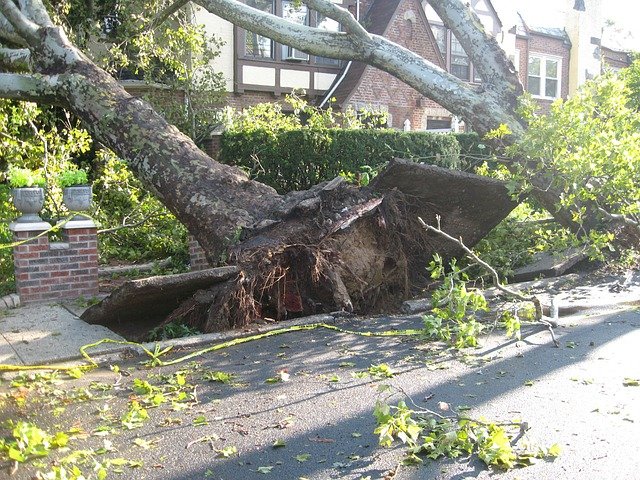 What damage to expect from wind