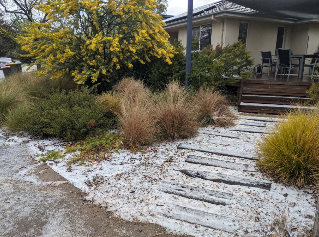 Burst of wintry weather turns Canberra white