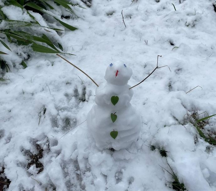 Hands up who loves heavy spring snowfalls?