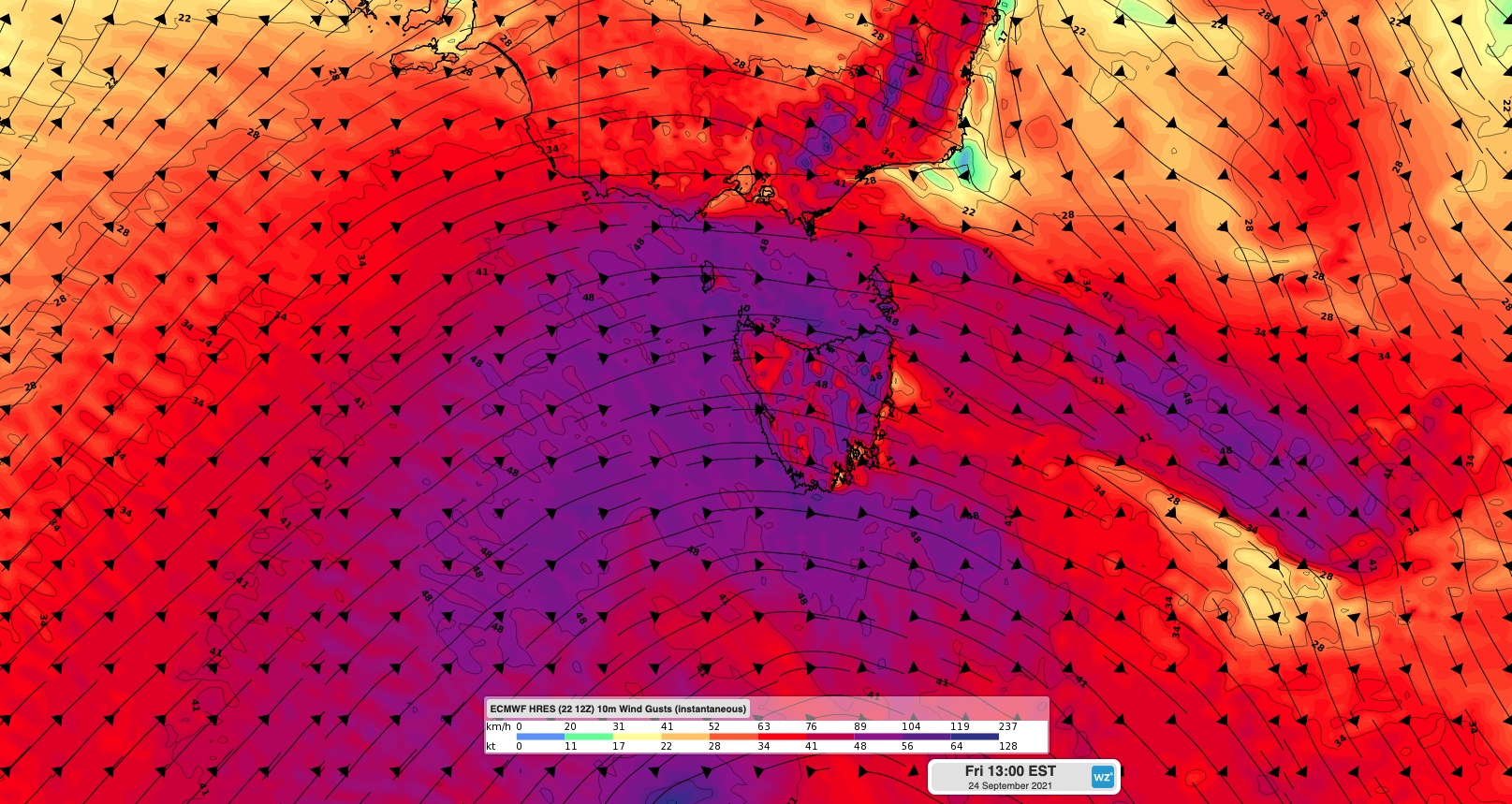 Strongest wind in 10 years blasts parts of Tasmania