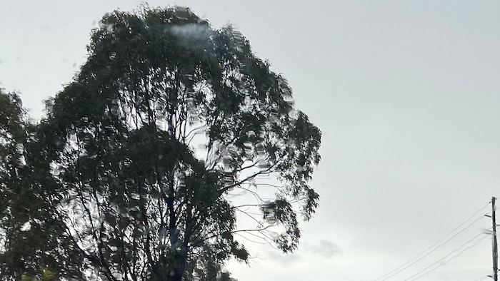 Severe storms whack south-east Queensland with hail and heavy rainfall