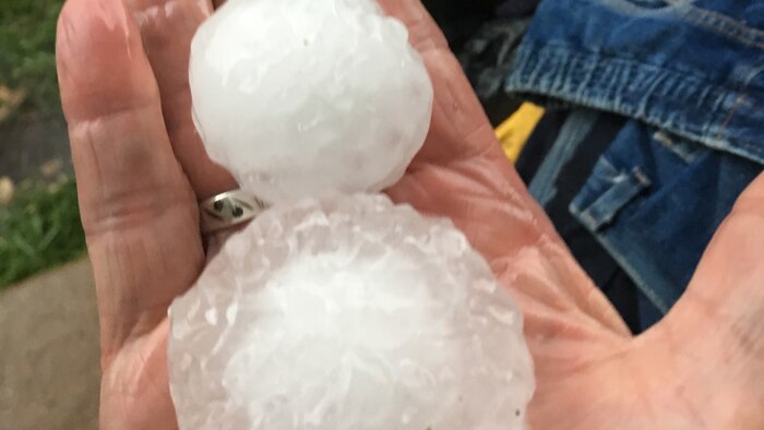 SES fears storm preparations overlooked during COVID-19 lockdown