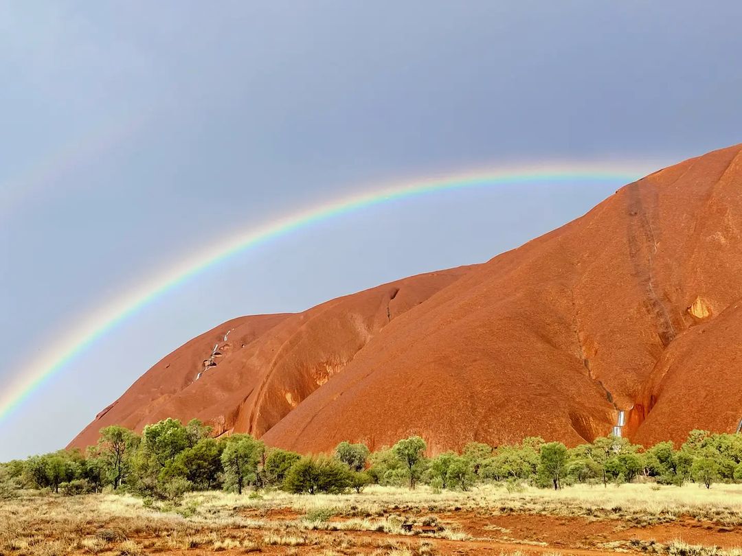 The Red Centre just got a whole lot more colourful after midweek deluge