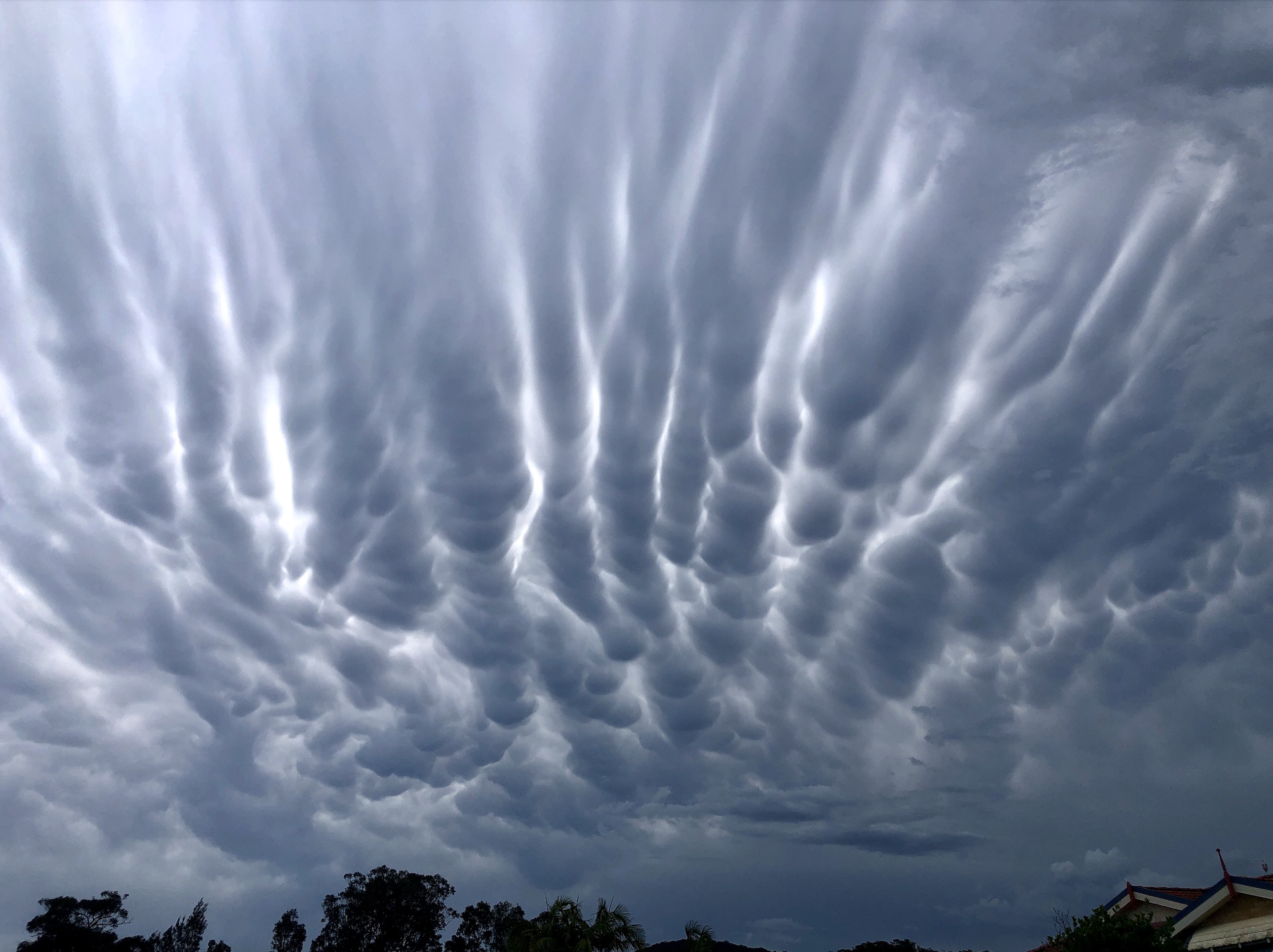 What are mammatus clouds?