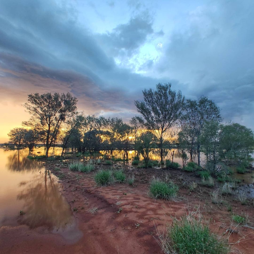 Outback deluge transforms Red Centre