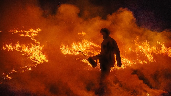 Elevated fire danger for parts of WA, as Bureau of Meteorology tips state to bake through hot summer