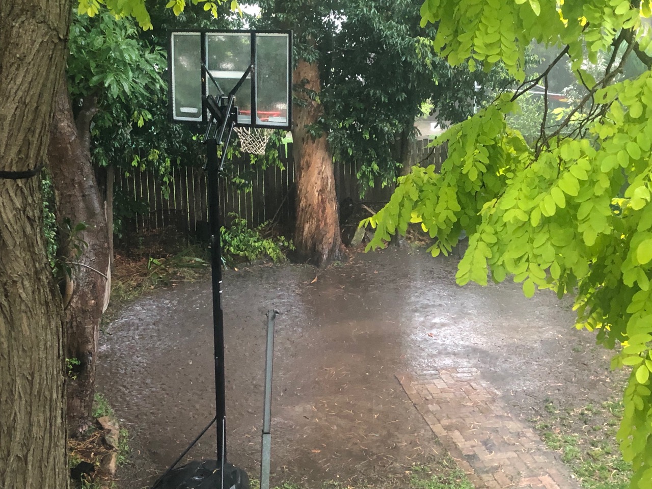 Backyards become lakes as Sydney storm dumps up to 30 mm in an hour
