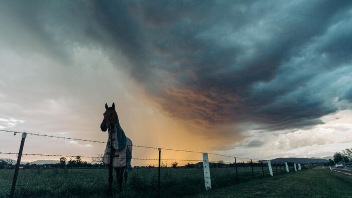 NSW notches up wettest November in more than 100 years as records tumble in the Hunter Valley