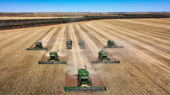 'Once-in-a-generation season' for West Australian farmers with bumper yields, quality grain, high prices