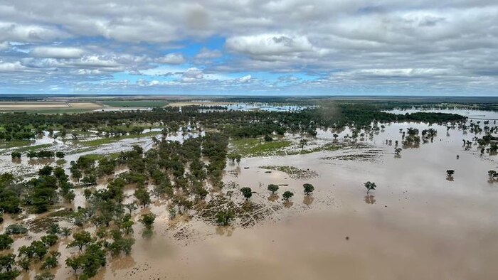 Boggabilla residents breathe sigh of relief as town avoids flooding