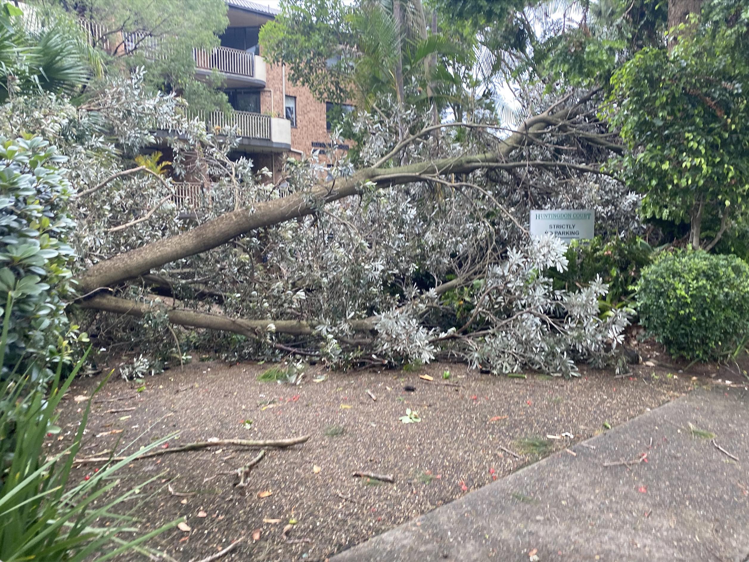 Sudden Sunday storm smashes Sydney's Northern Beaches