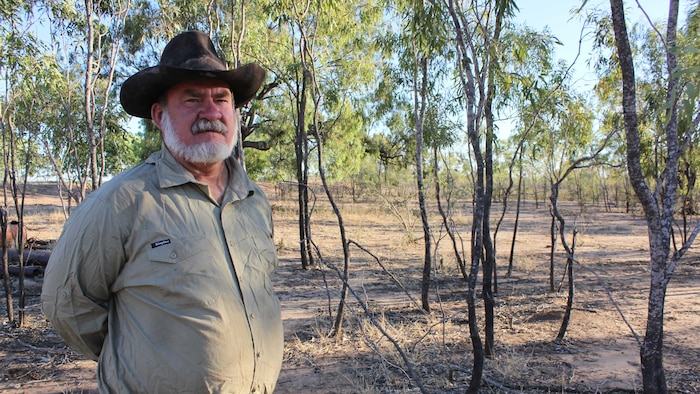 Gulf graziers desperate for rain, as ex-Cyclone Tiffany does little to help 