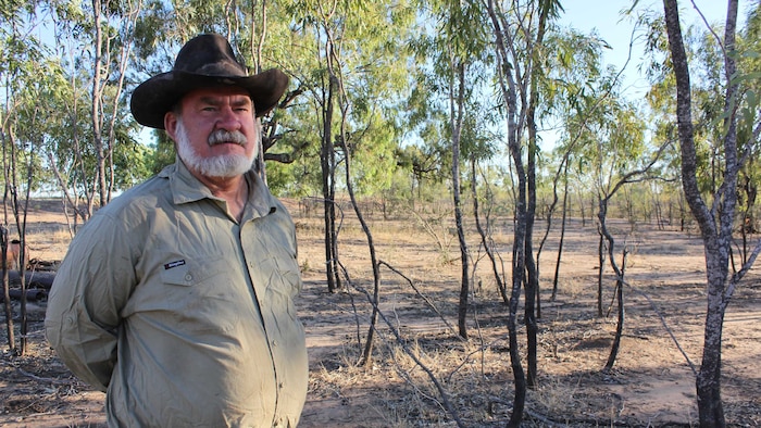 Gulf graziers desperate for rain, as ex-Cyclone Tiffany does little to help