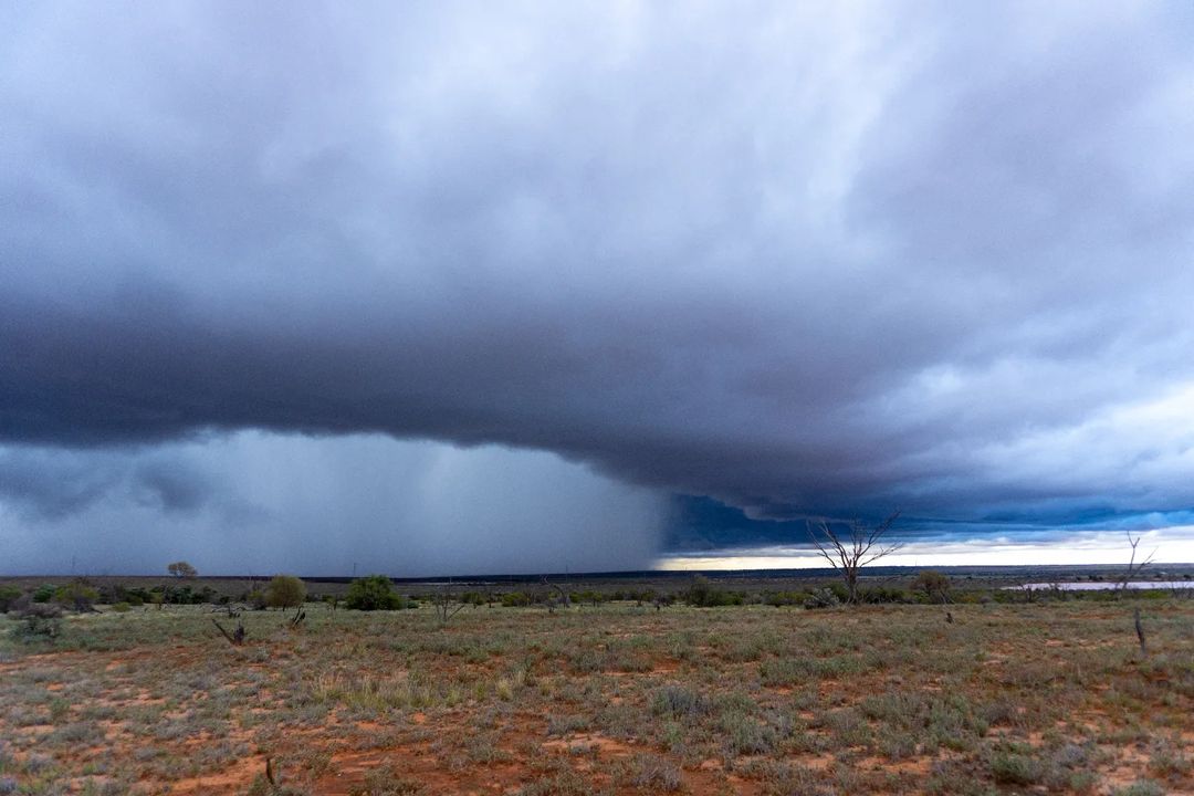 Record-breaking rain cuts roads and rail in outback SA