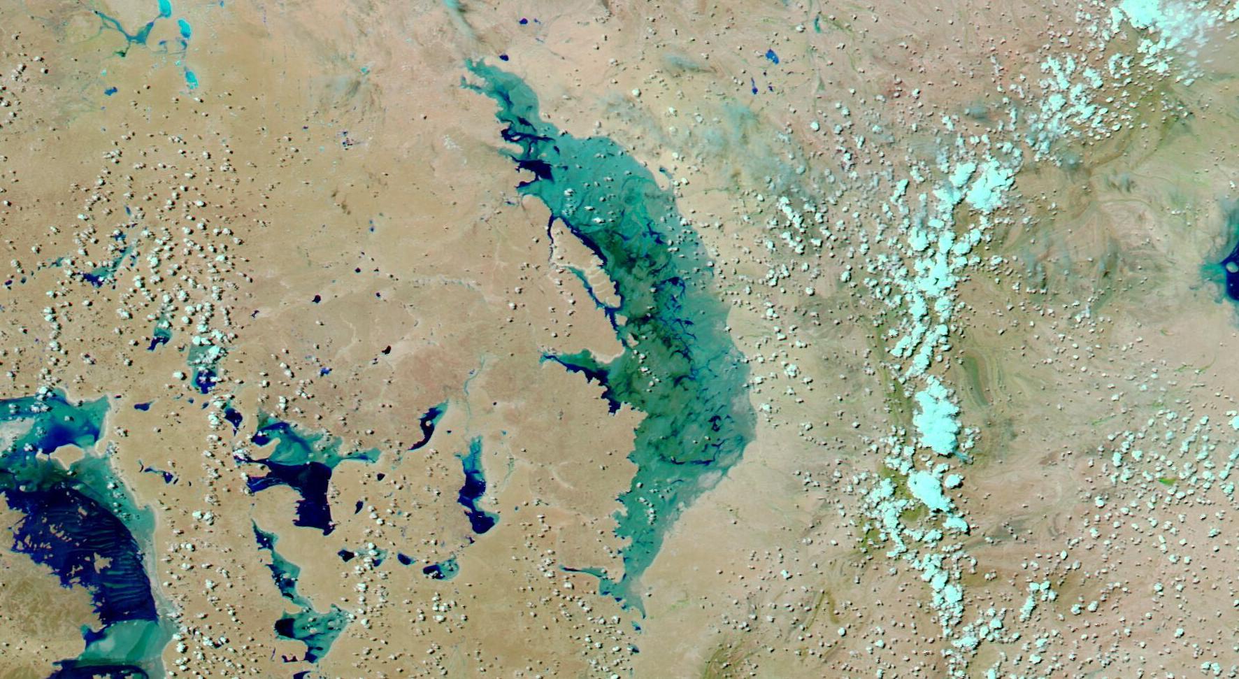 South Australia's wettest start to a year since 1984