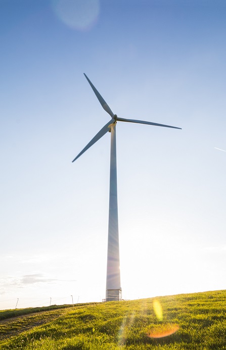 Ideal wind power week for the NEM
