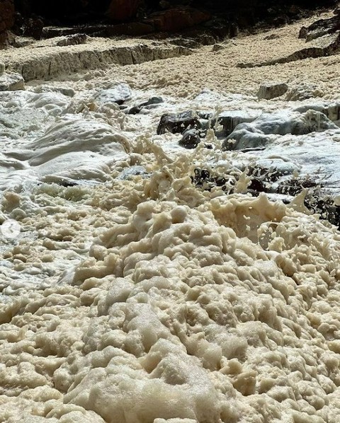 Sea foam, gales, and snow on stormy, chilly NSW day