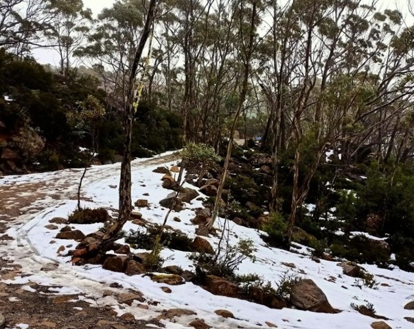 Monday's Tassie snow just the beginning