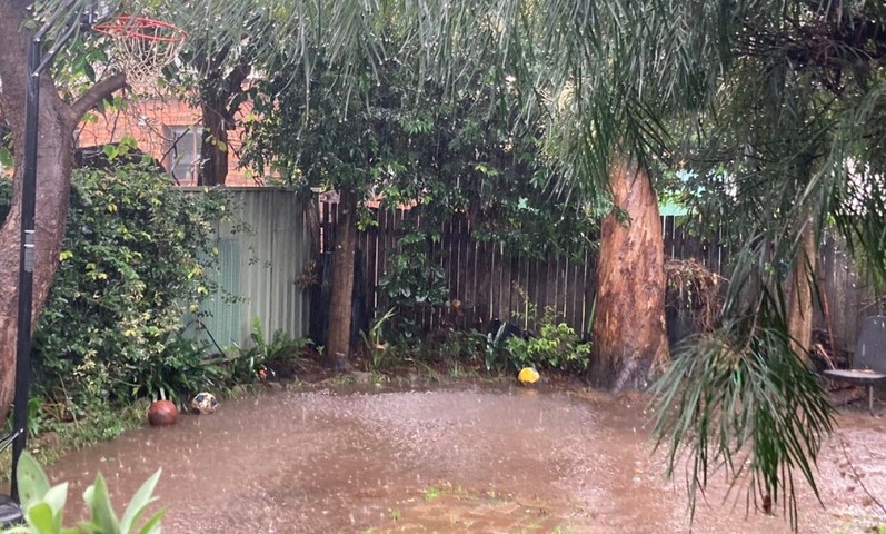 Just another day of torrential Sydney downpours