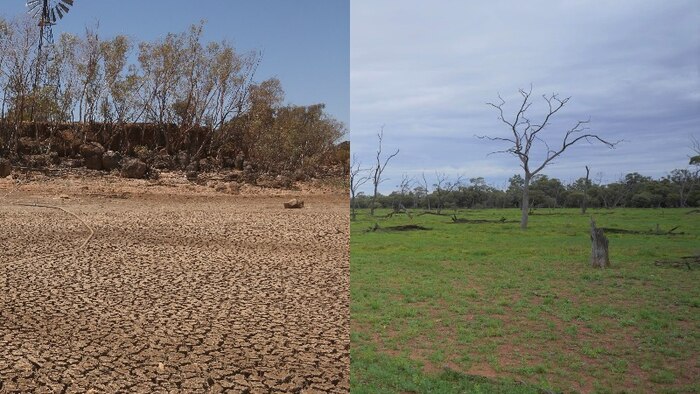 www.weatherzone.com.au