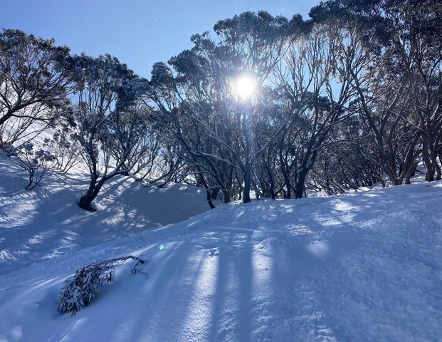 Snow depth hits 129.5 cm, next week looks scary