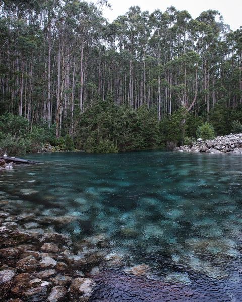 Disappearing Tarn returns as heavy rain transforms Tasmania