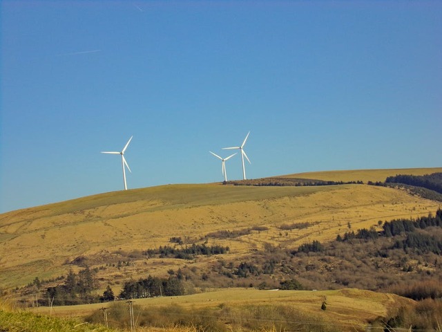 Record August wind power in Australia's National Electricity Market