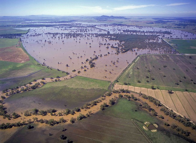 Cowra's first 14m flood since 1952 as Forbes residents evacuate