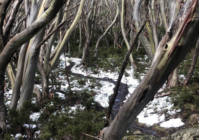 Double burst of summer snow coming