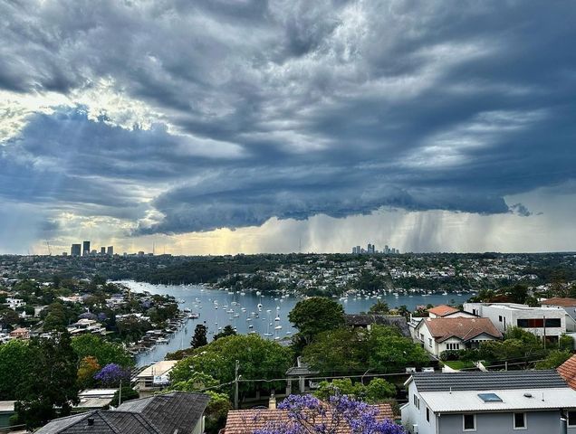Sydney hits 2.5 metres of annual rain amid record wet year