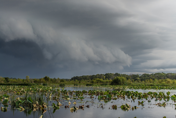 The monsoon arrives over northern Australia