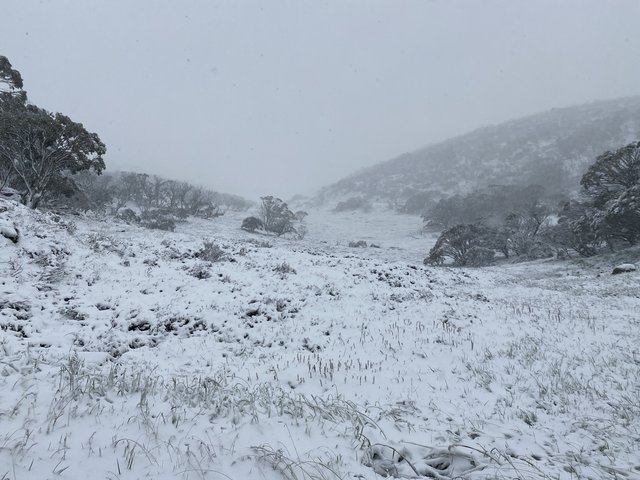 First Aussie snowfall of 2023