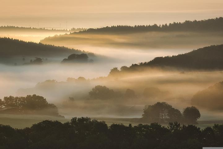 Thick fog blankets parts of eastern NSW