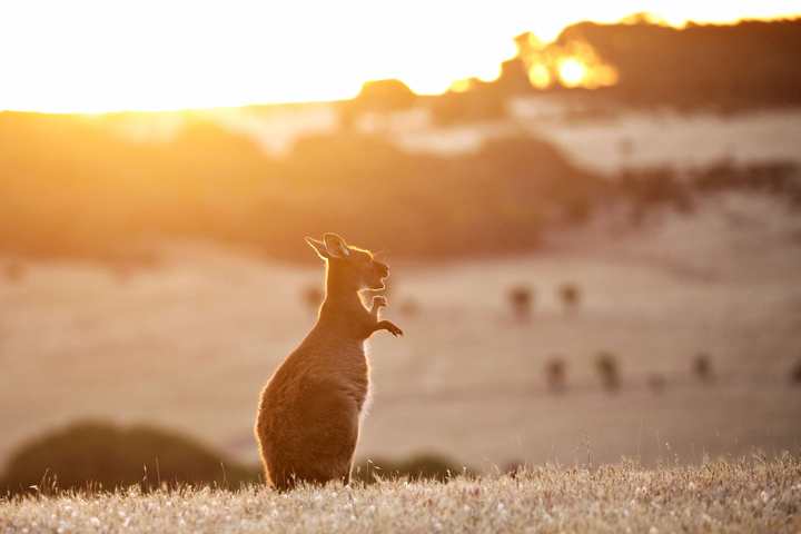 Record warm start to winter for parts of Australia