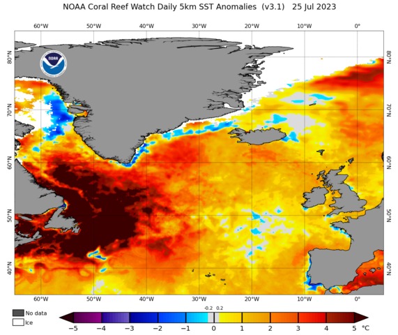 Massive ocean hot spots off North America