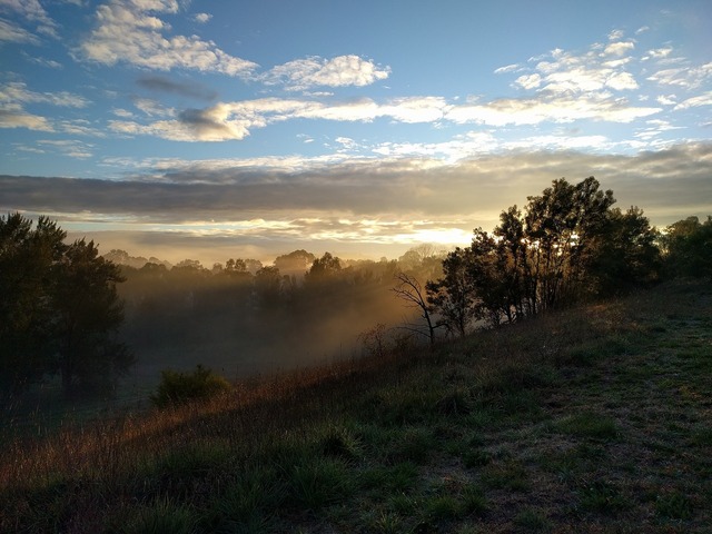 Canberra thaws after longest July frosty spell in decades