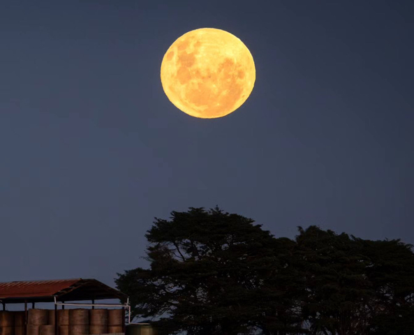 Don't miss the last 'super blue moon' for 6 years