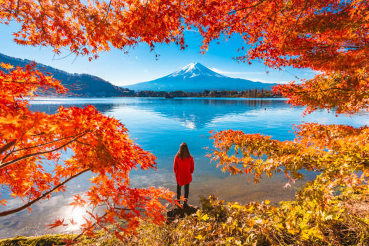 Annual Autumn Foliage Forecast for Japan