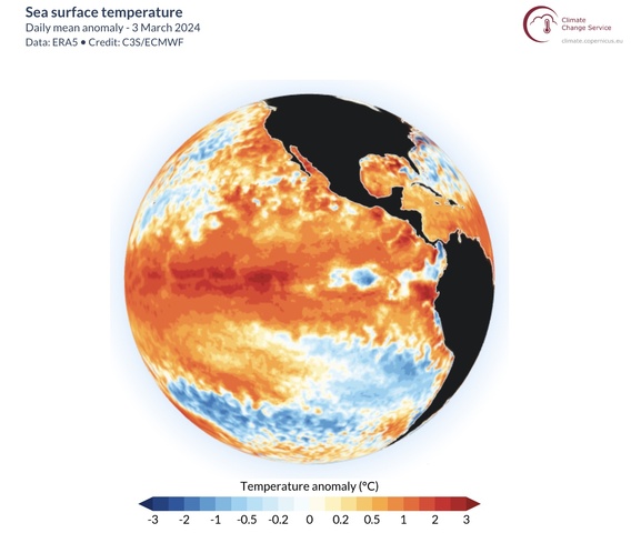 Pacific Ocean cold pool emerges, hinting at La Niña