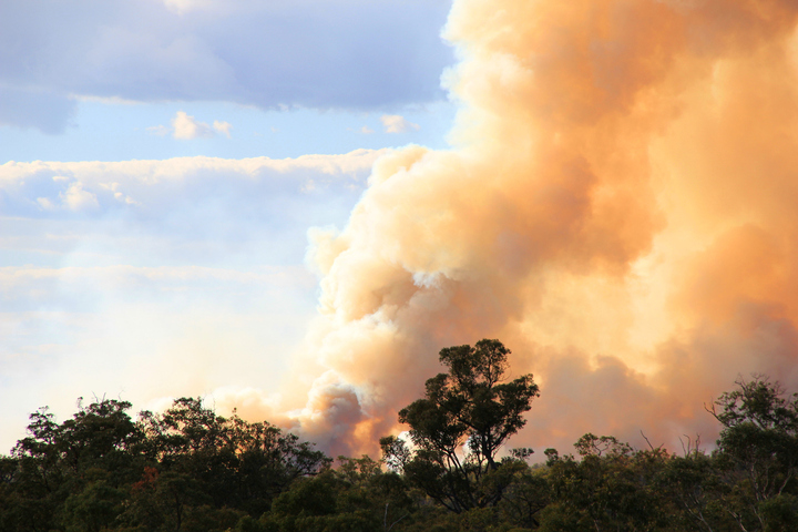 Image: Hot and windy weather weather will elevate the fire danger in parts of southeastern Australia this weekend.. Source: iStock / Federherz
